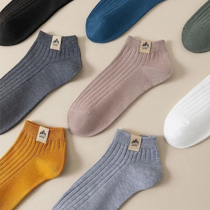 Alpine Low-Cut Sock Set
