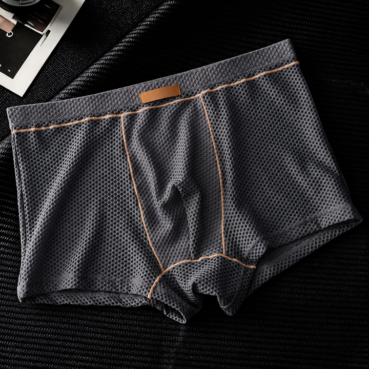 Ventra Mesh Boxer Set