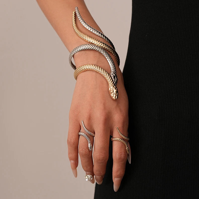 Serpent Wrap Bracelet & Ring Set