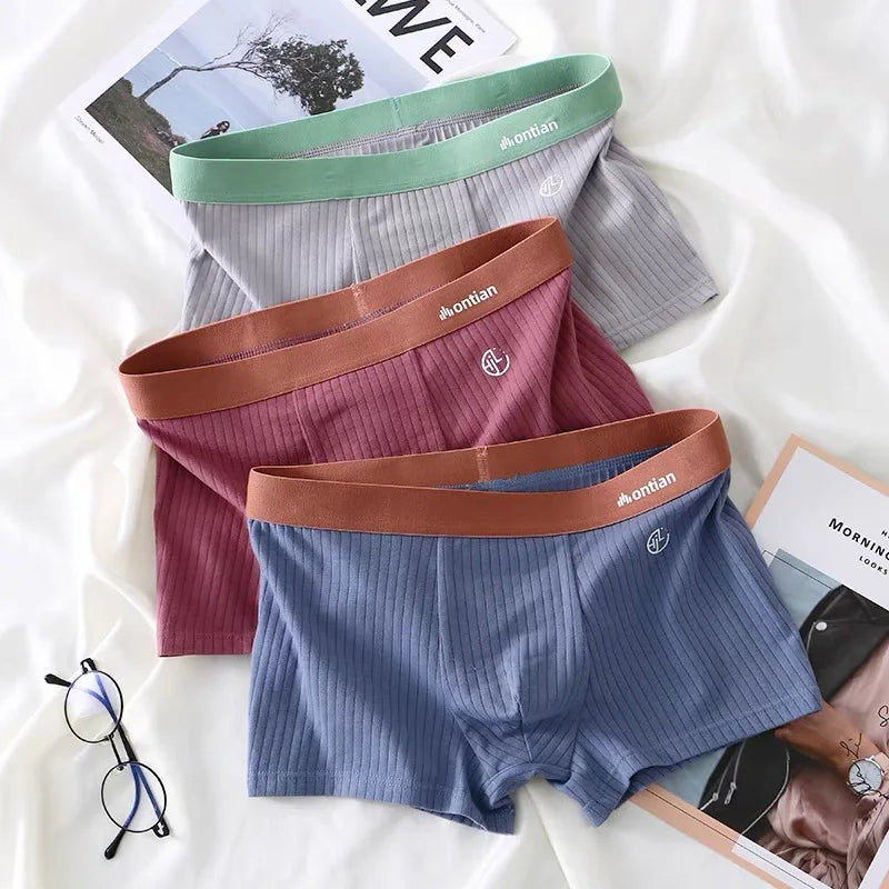 Versa Ribbed Brief Set
