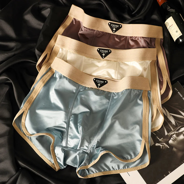 Summit Ice Silk Brief Set