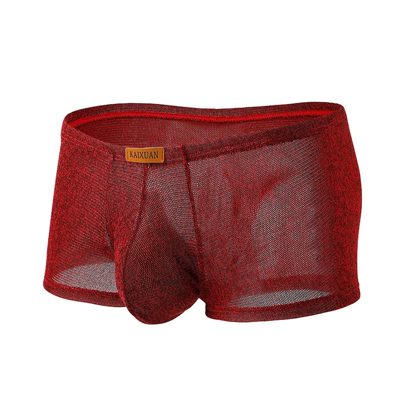 Voss Mesh Boxer Set