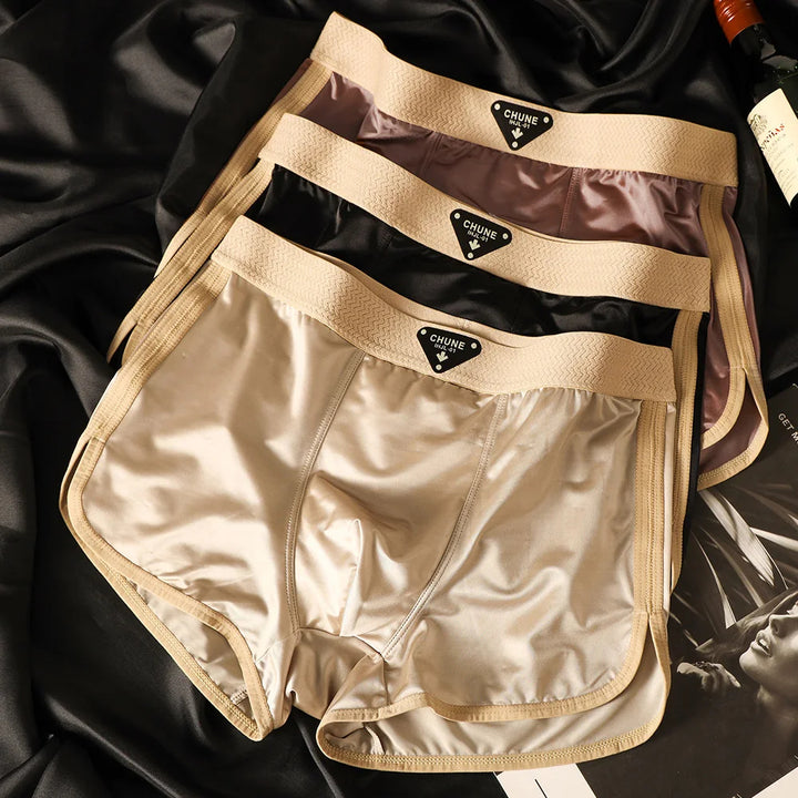 Summit Ice Silk Brief Set