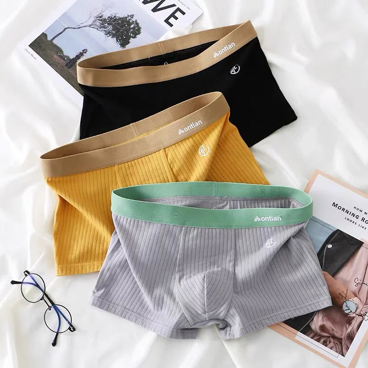 Versa Ribbed Brief Set