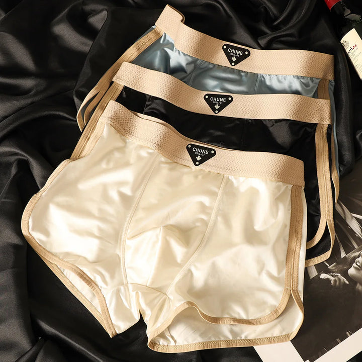 Summit Ice Silk Brief Set