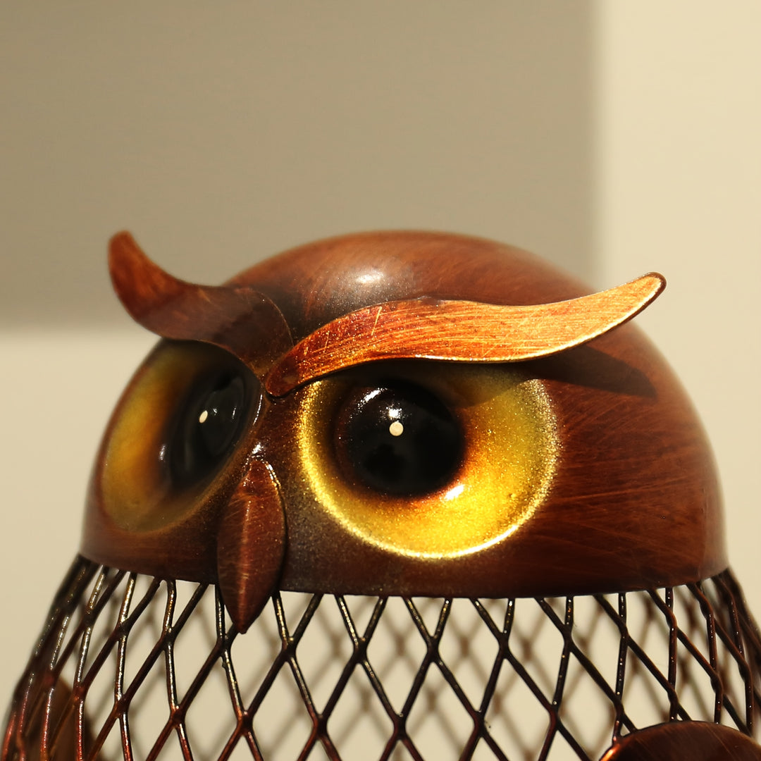 Nocturne Owl Coin Cache